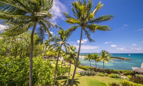 La Créole Beach Hôtel & Spa